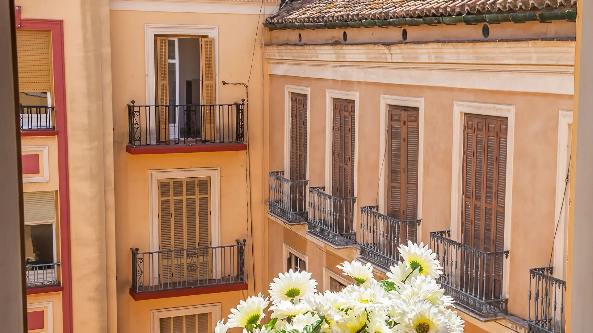 Apartment Apartamento Mitjana Malaga Spain